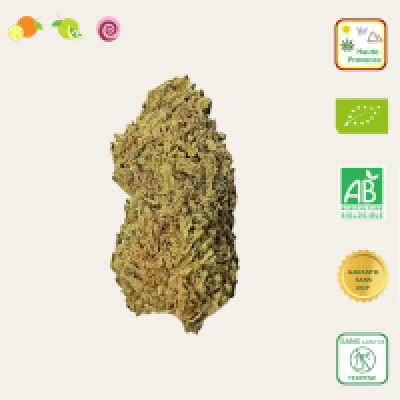 Fleurs de CBD Haute-Provence certifiées BIO - Zkittlez - Le Canebier en Provence